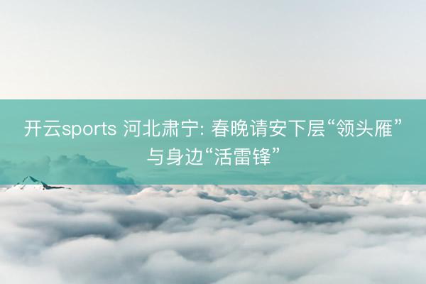 开云sports 河北肃宁: 春晚请安下层“领头雁”与身边“活雷锋”