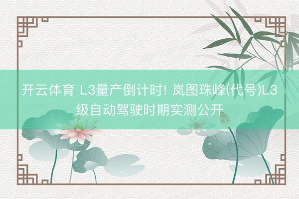 开云体育 L3量产倒计时! 岚图珠峰(代号)L3级自动驾驶时期实测公开